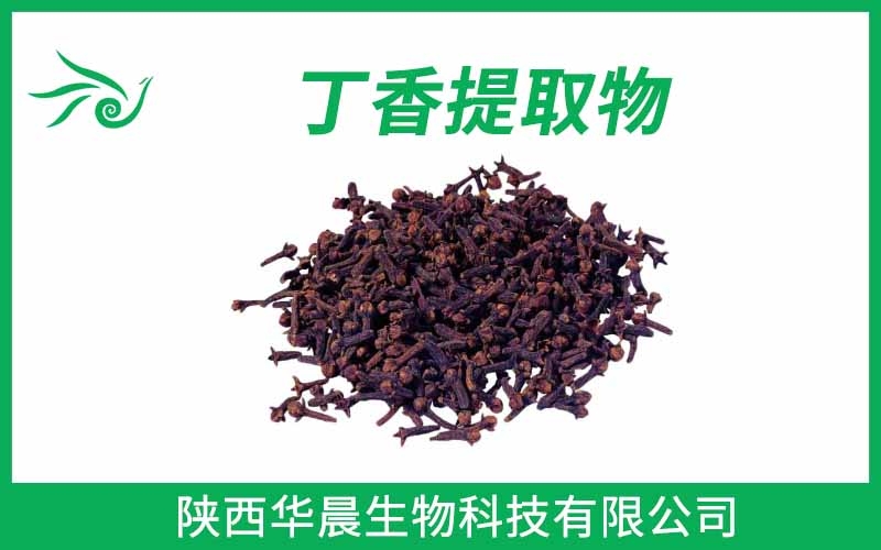 丁香提取物、母丁香提取物、公丁香提取物