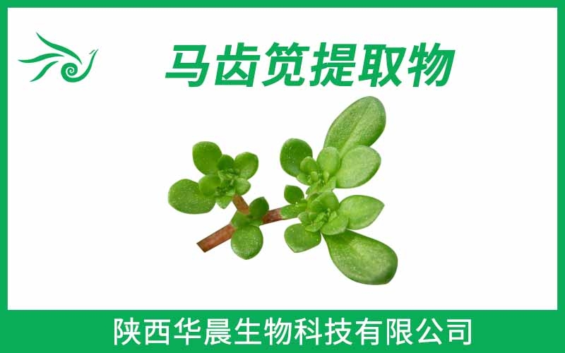 馬齒莧提取物、馬齒筧提取物