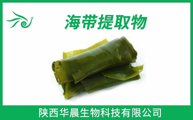 海帶提取物、昆布提取物