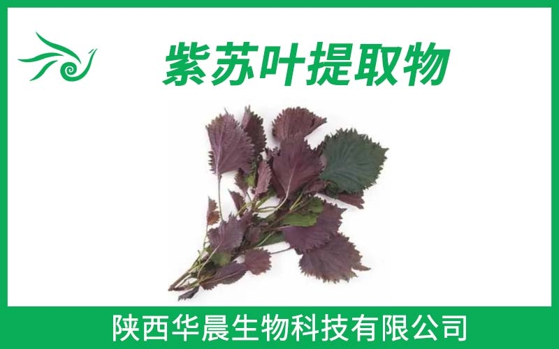 紫蘇葉提取物