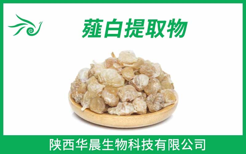 薤白提取物