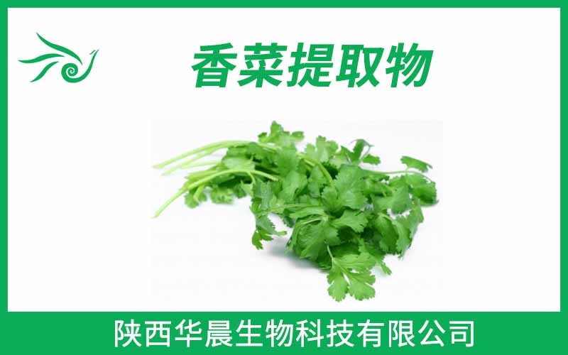 香菜提取物、芫荽提取物