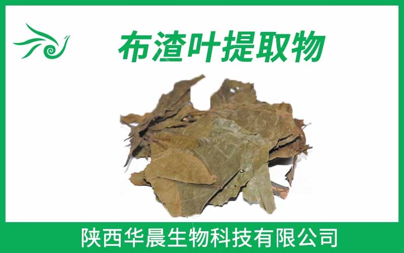 布渣葉提取物