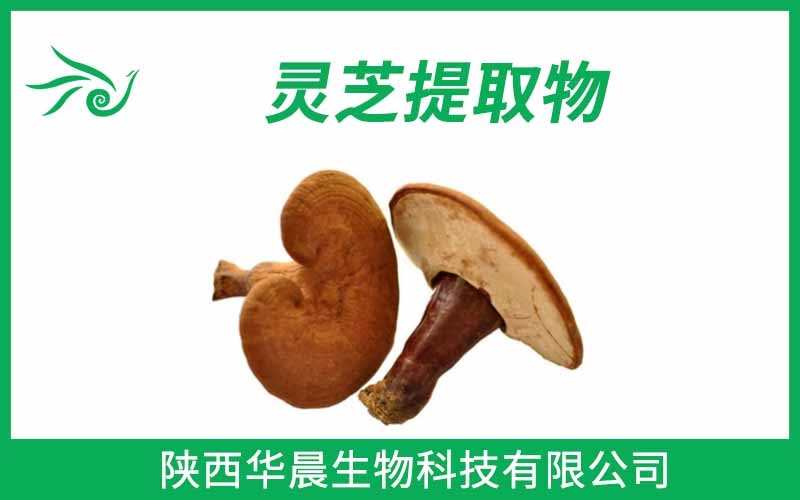 靈芝提取物